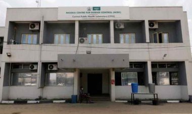 Nigeria hit by deadly cholera surge in northern states