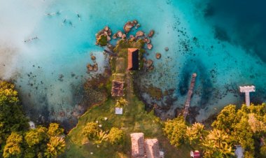 Mexico's three-billion-year-old underwater lifeforms