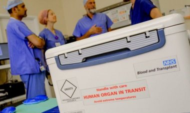 Kidney transplants cancellation 'devastates' charities