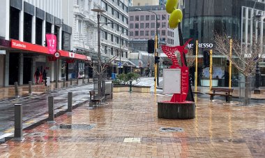 New Zealand enters national lockdown