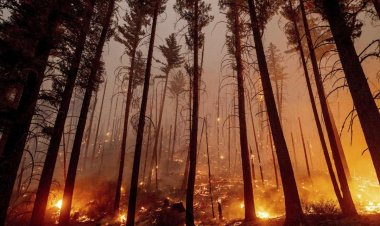 Firefighters fight to contain Dixie Fire in Northern California