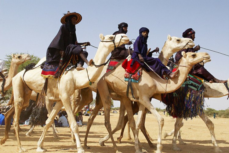 Niger hosts major Sahara camel race