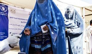 'Over half' of Afghans face food insecurity: WFP