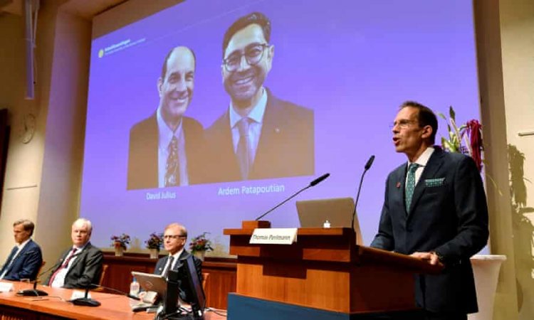 Pair win Nobel for unlocking mystery of sensing temperature, touch