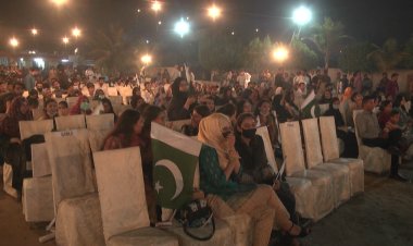 Wade, Stoinis power Australia past Pakistan and into World Cup final