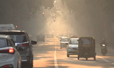 Delhi shuts schools as government considers 'pollution lockdown'