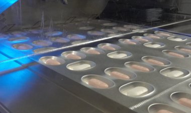 Pfizer asks US to authorize Covid pill