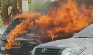 Three dead in Uganda suicide bombings