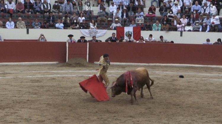 Ole! Bullfights return in Peru after lengthy pandemic pause