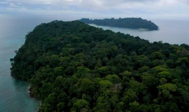 Colombia's forgotten Alcatraz: the island prison of Gorgona