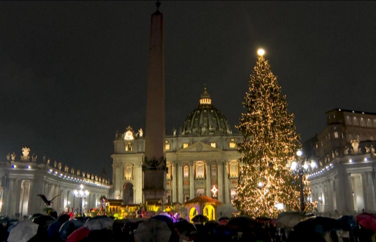 Vatican lights Christmas tree and Nativity scene in St. Peter's Square