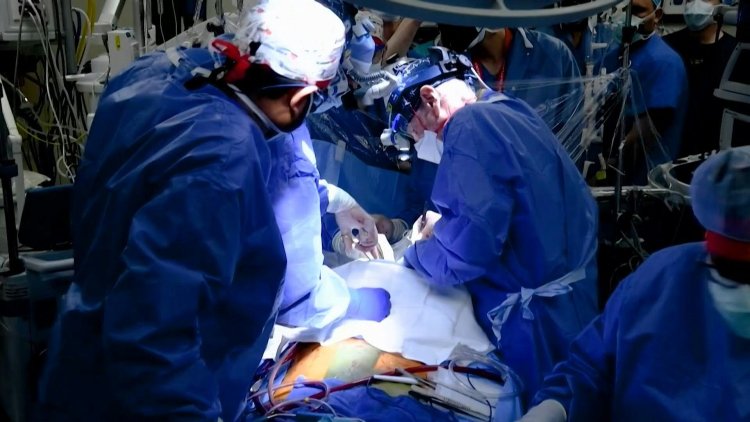 'Historic': US surgeons successfully implant pig heart in human