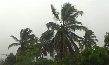 UN warns of 'significant impact' as new storm nears Madagascar