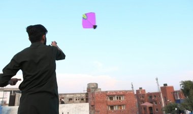 Hundreds defy ban to celebrate Pakistan kite festival