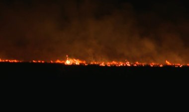 Fires ravage the Argentine province of Corrientes