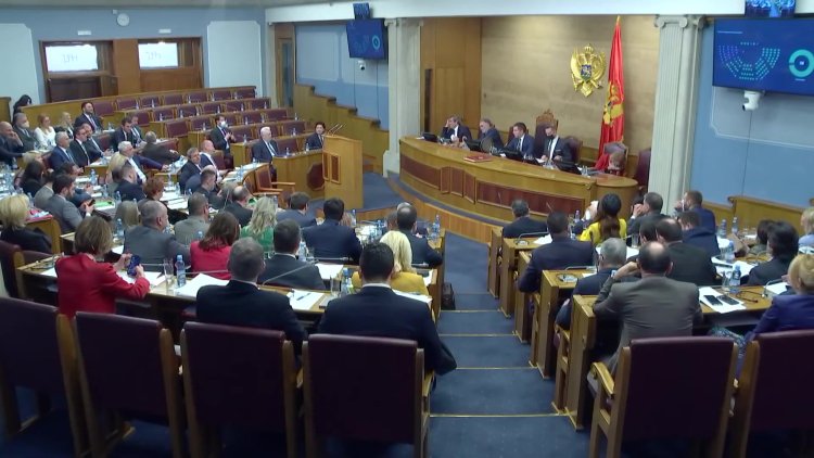 Montenegro government toppled in no-confidence vote