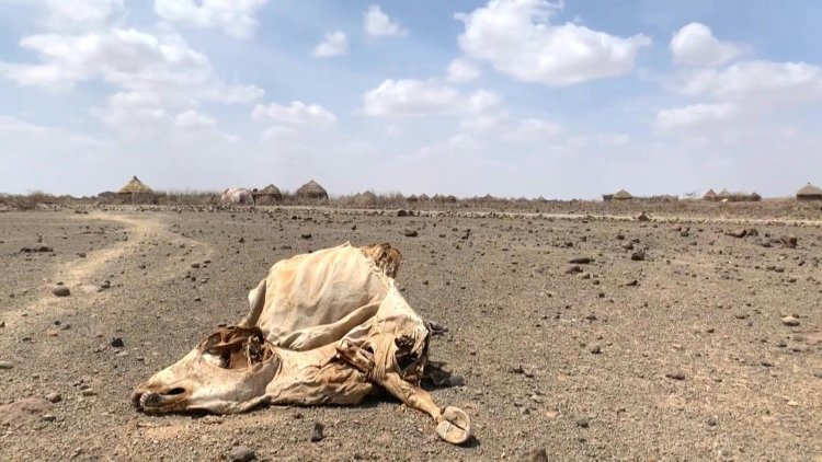 UN: 13 million face hunger as Horn of Africa drought worsens