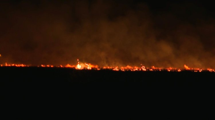 Fires ravage the Argentine province of Corrientes