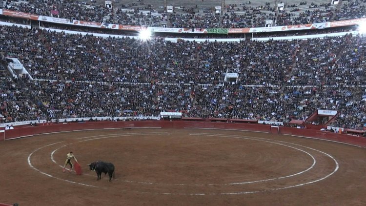 Mexico City debates banning 500-year-old bullfighting tradition