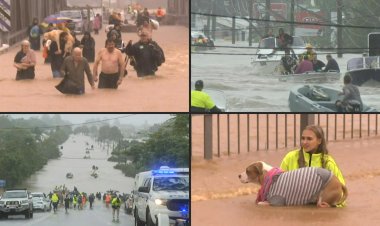 Australians flee floods as toll rises to 12, Sydney on alert