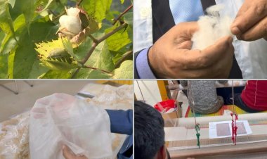 'Woven air': Bangladesh revives elite forgotten fabric