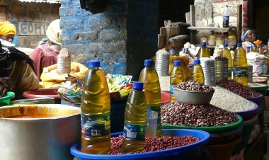 Ukraine invasion sparks fears of hunger in eastern DR Congo