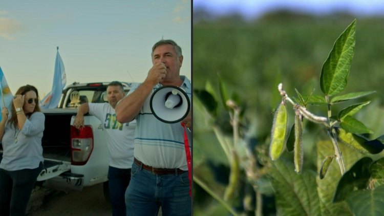 Argentina suspends soybean exports as prices rise