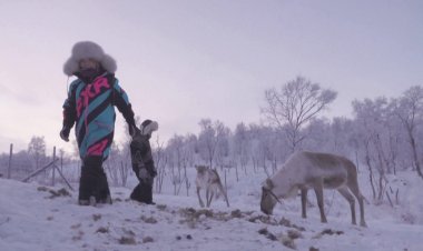 Reindeer herding despite climate fears