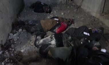 Zelensky calls killings in Bucha 'genocide'