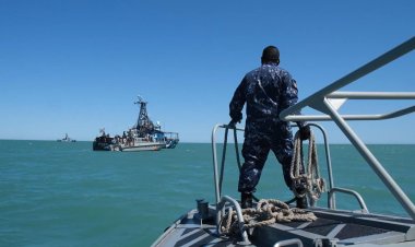 Mexico seeks 'miracle' to save near-extinct vaquita porpoise