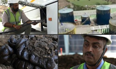 Dung power: India taps new energy cash cow