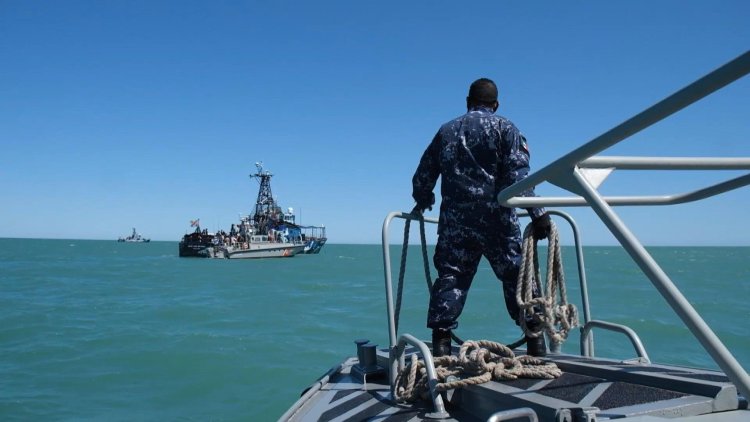 Mexico seeks 'miracle' to save near-extinct vaquita porpoise