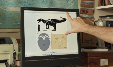 'Death shadow' dinosaur unearthed in Argentina