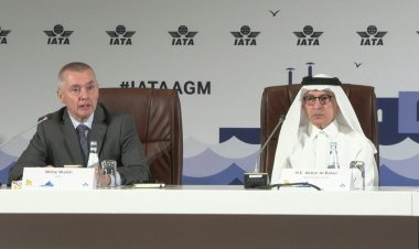 Air industry could fly back into black next year, IATA says