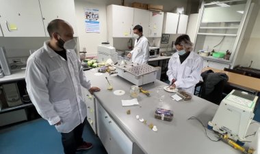 Chile's innovative approach to feeding kids