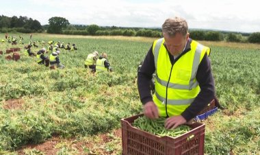 UK 'jobs miracle' turns into employers' nightmare