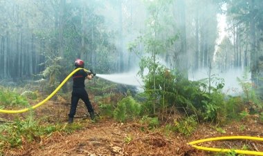 Europe counts cost of heatwave as Spain PM says more than 500 died