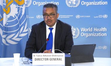 WHO triggers highest alert on monkeypox