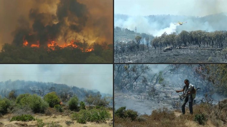 Morocco firefighters battle infernos as villagers flee