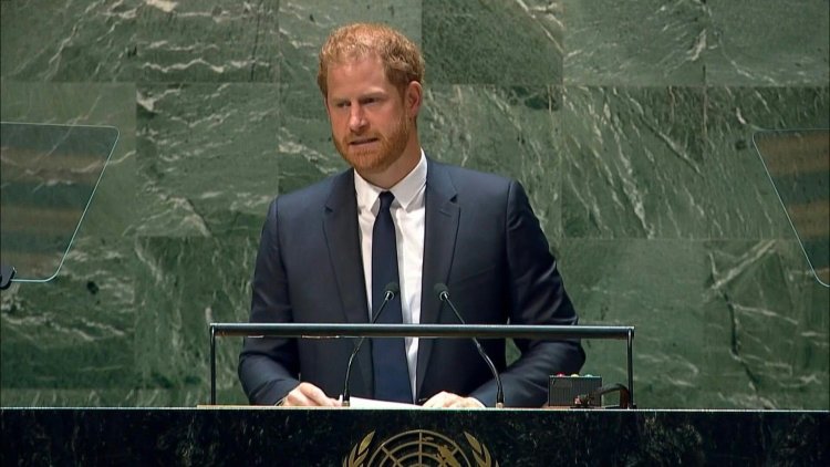 World democracy and freedom under assault, Prince Harry tells UN
