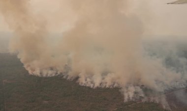 Fires increase in Brazilian Amazon in July