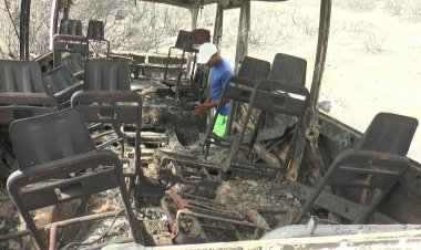 'Tornado of fire': Algeria forest blazes kill 38