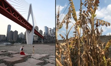 Half of China hit by drought in worst heat wave on record
