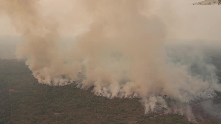 Fires increase in Brazilian Amazon in July