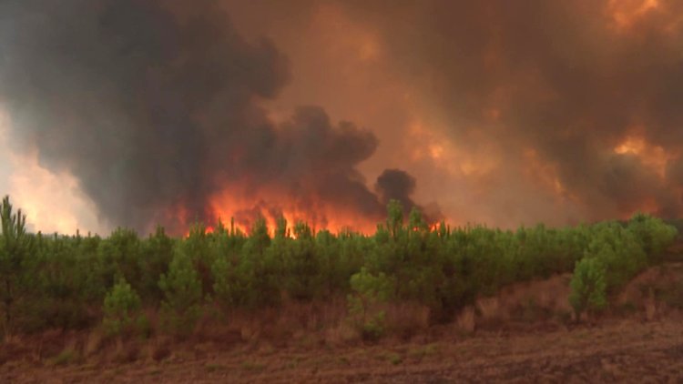 Arson suspected as huge French wildfire reignites