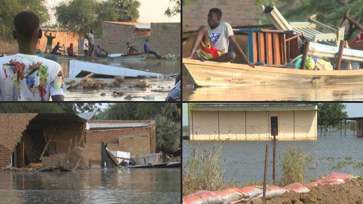 Chad floods leave victims in despair