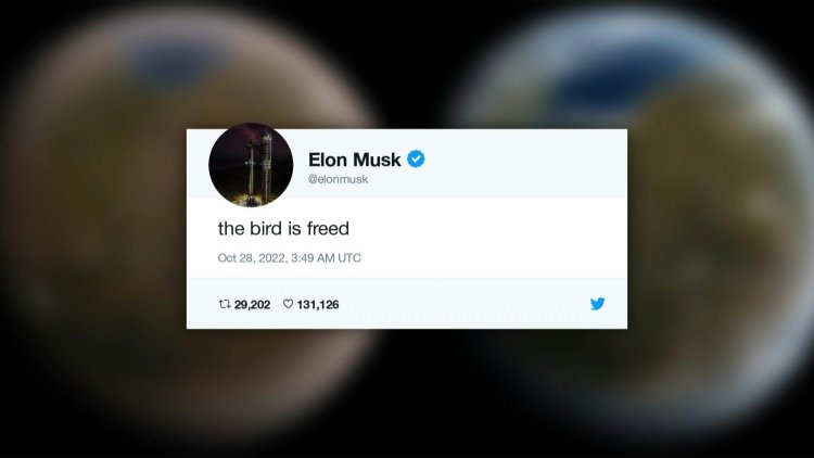 Elon Musk says ‘the bird is freed’ as Twitter ownership starts with firings