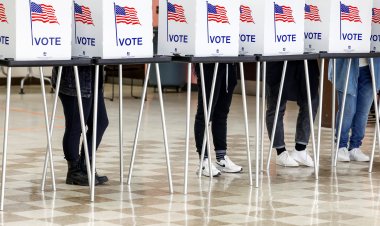 United States midterm elections