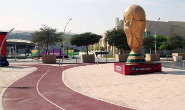 World Cup countdown enters final week as focus sharpens on Qatar