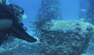 Off Florida, underwater burial ground offers aquatic lifeline